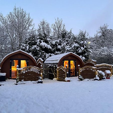 Conifer Cabins Форт Уилям Екстериор снимка