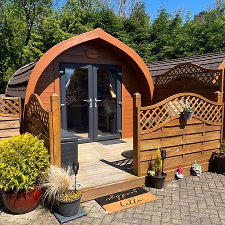 Conifer Cabins Форт Уилям Екстериор снимка