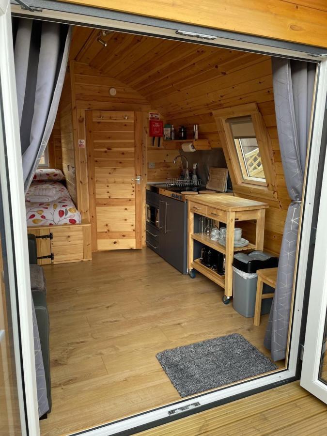 Conifer Cabins Форт Уилям Екстериор снимка