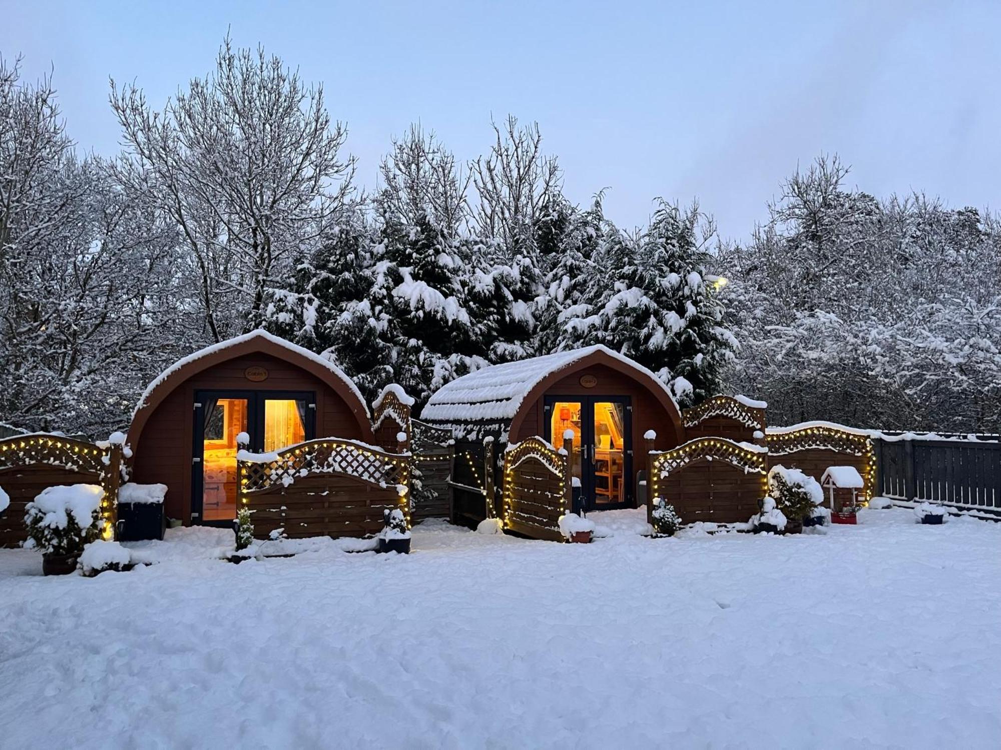 Conifer Cabins Форт Уилям Екстериор снимка