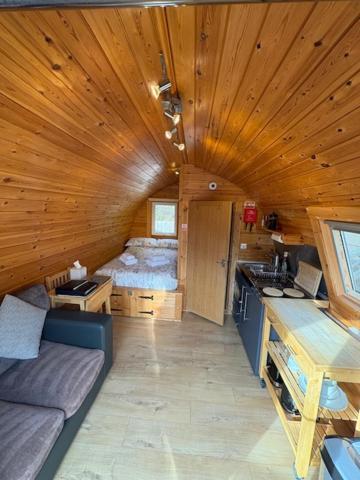 Conifer Cabins Форт Уилям Екстериор снимка