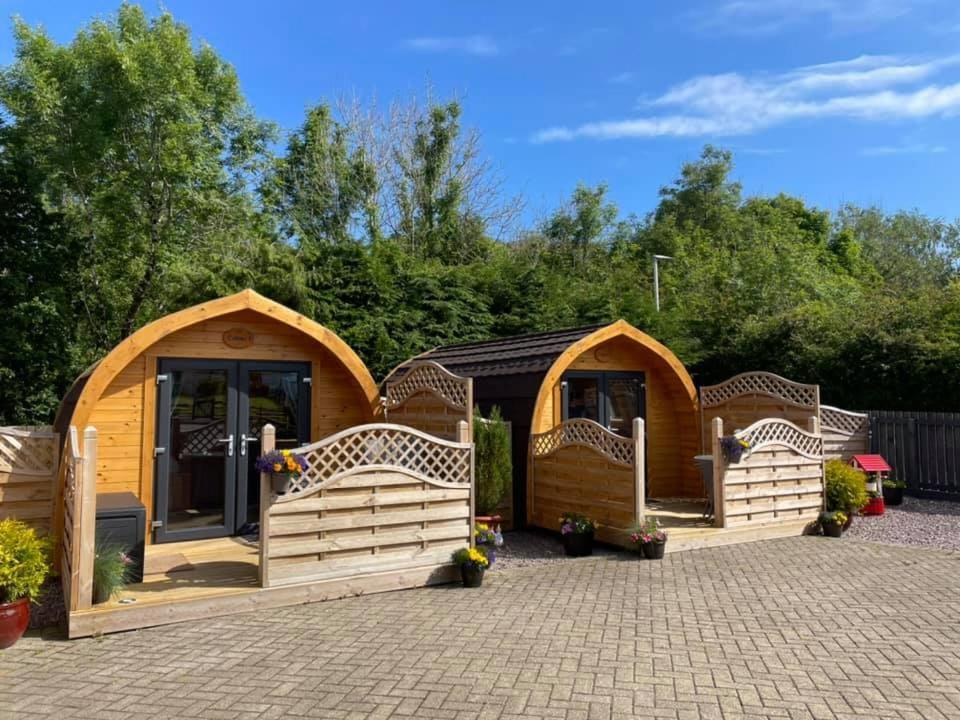 Conifer Cabins Форт Уилям Екстериор снимка